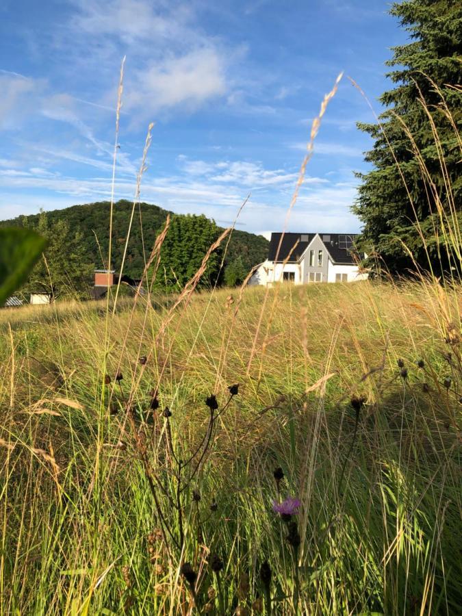 Apartment Montabaur Heiligenroth Екстериор снимка